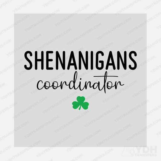 Shenanigans Coordinator Transfer