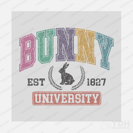Bunny University Transfer