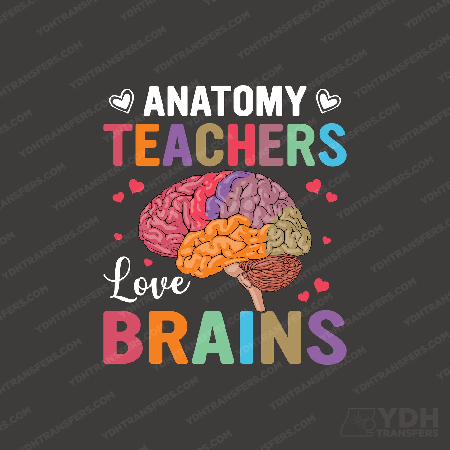 Anatomy Teacher Brains Full Color Transfer
